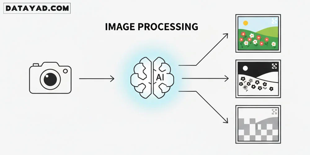 پردازش تصویر