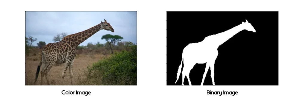 تصویر باینری