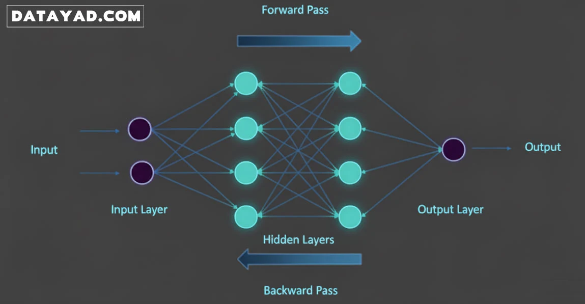 اجزا و فرآیندهای شبکه عصبی
