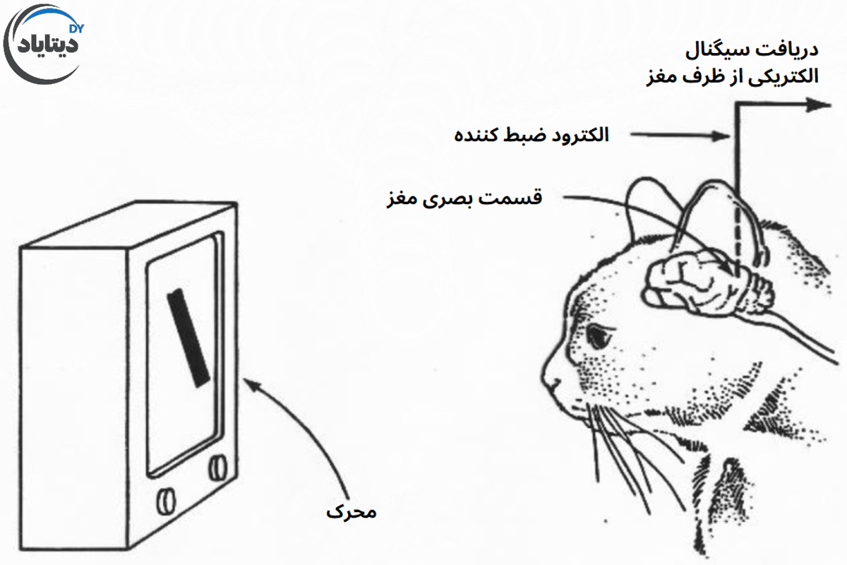 تاریخچه کوتاه بینایی کامپیوتر