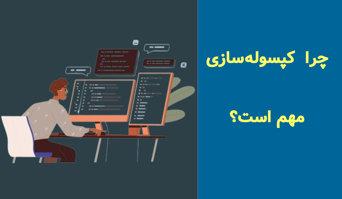 چرا کپسوله‌سازی مهم است؟