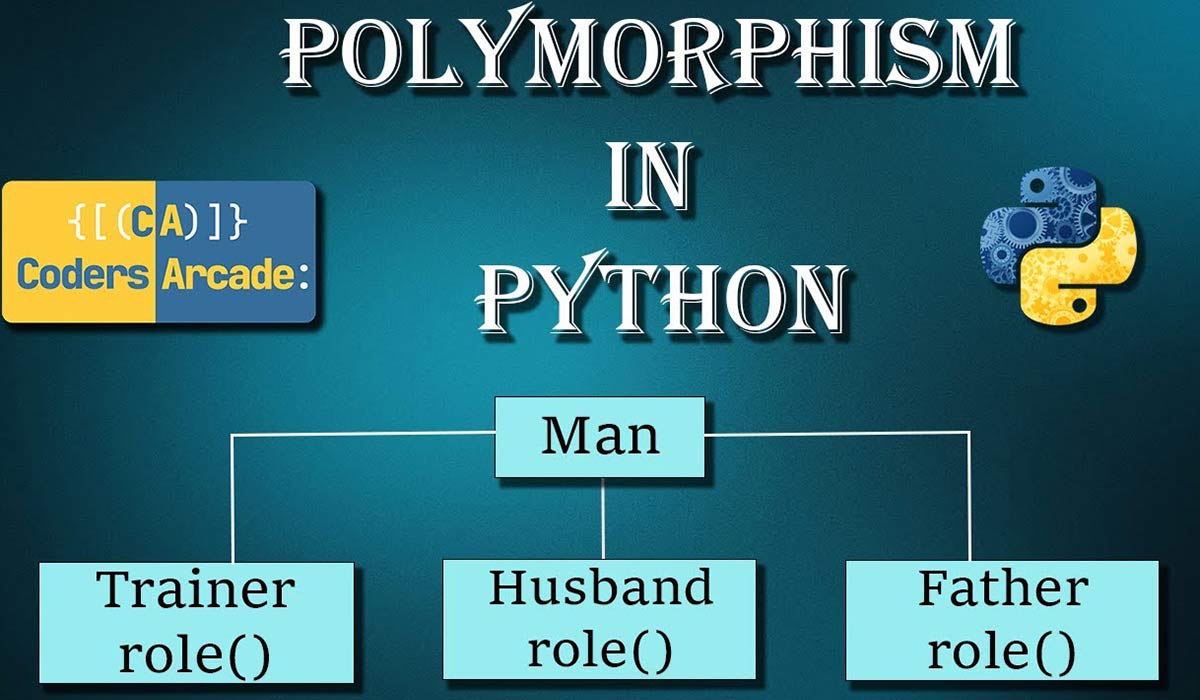 انواع پلی مورفیسم در پایتون