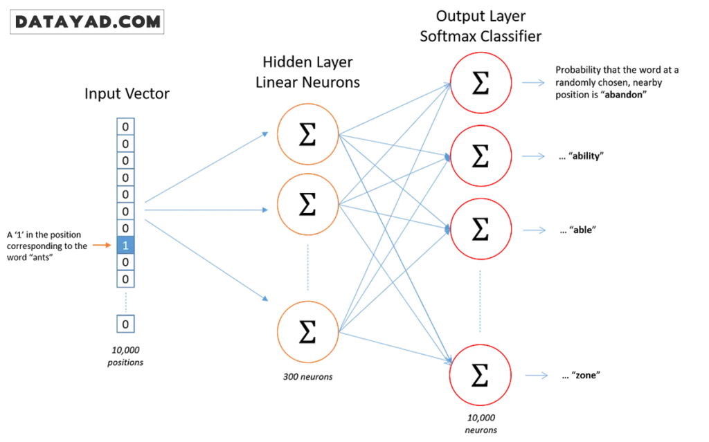 معماری مدل word2vec