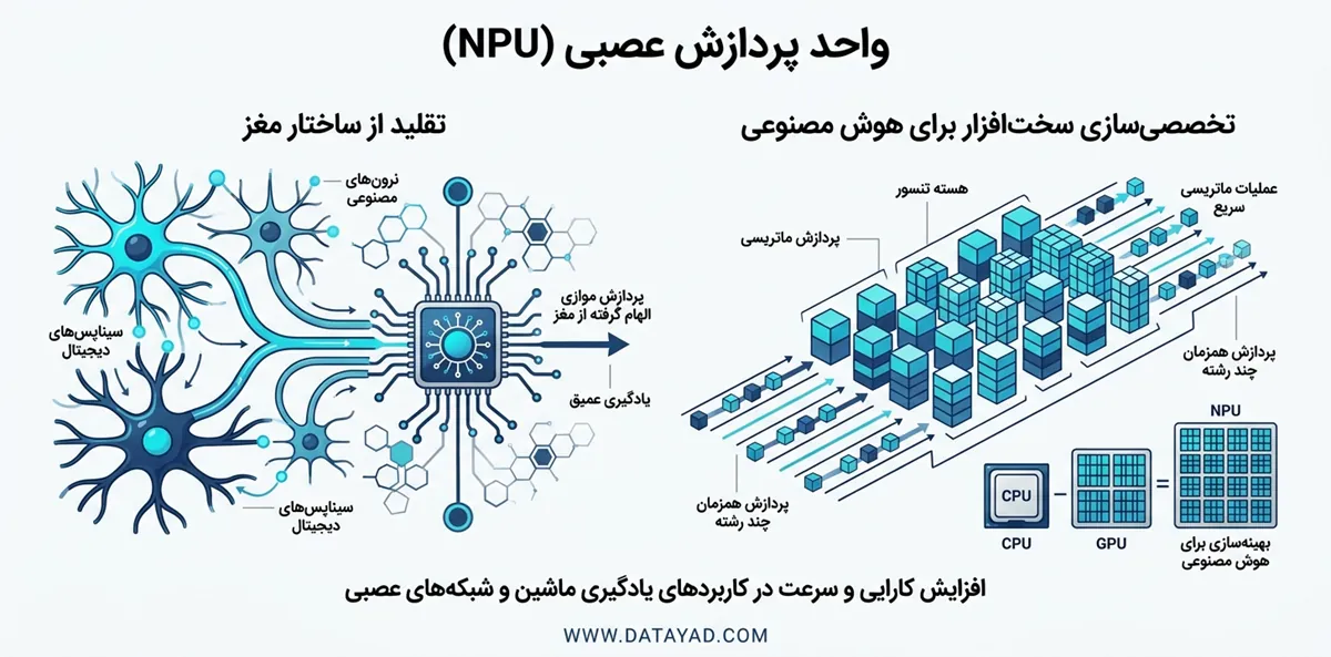 واحد پردازش عصبی (NPU) در هوش مصنوعی