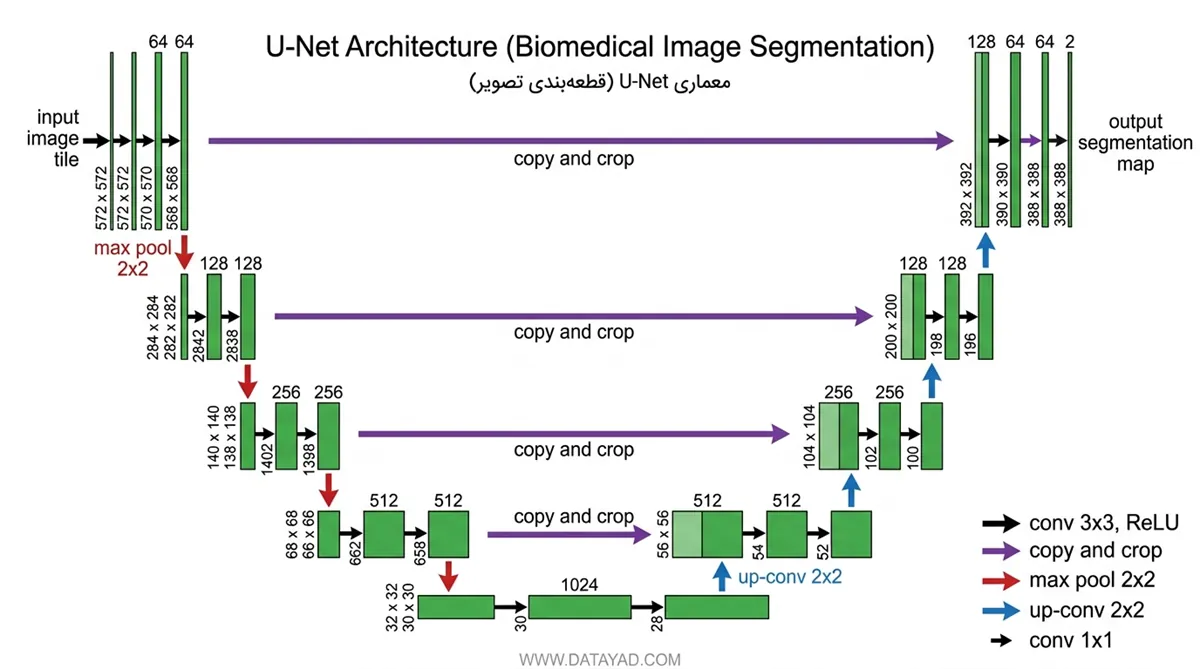 معماری u-net