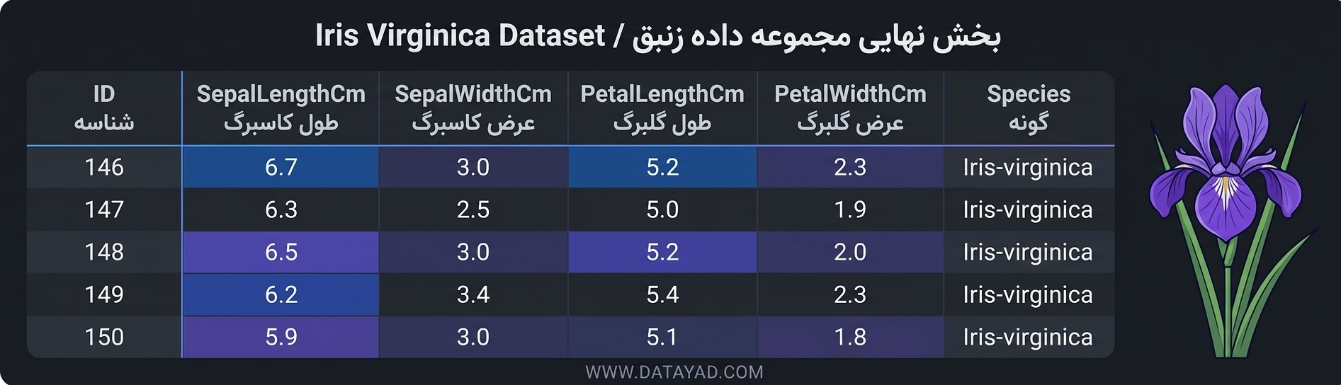 مثال Data Manipulation